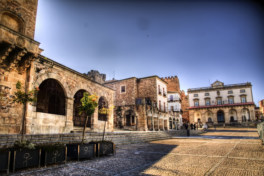 Curso NIR 2019 – Cáceres