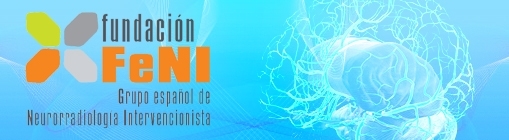 Fundacion FeNI