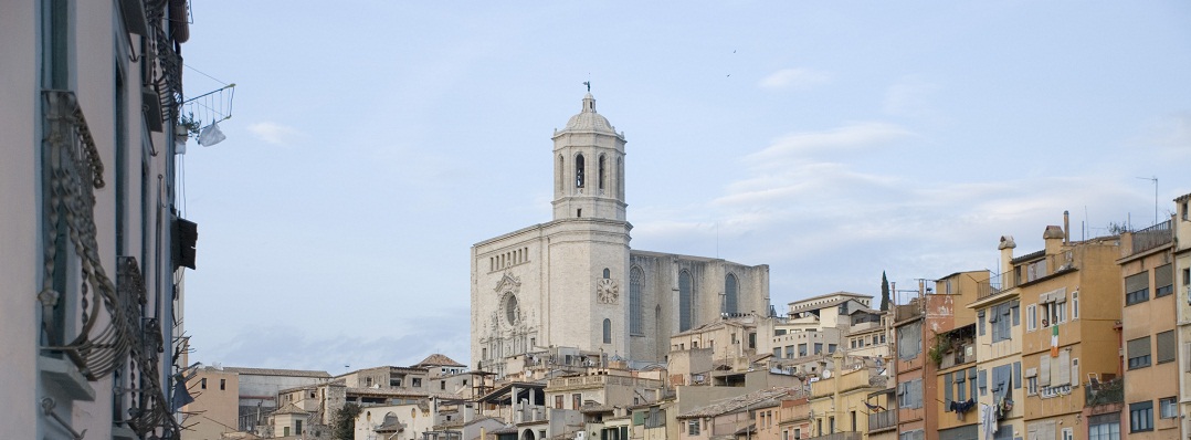 Reunión Anual 2008 – Girona