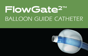 Stryker NV anuncia el lanzamiento de la nueva gama de catéteres guía balón FLOWGATE