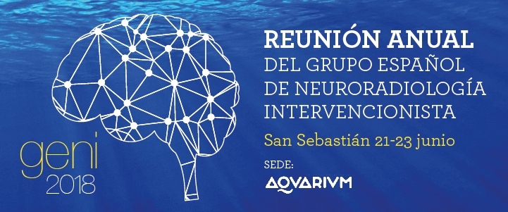 Reunión anual 2017