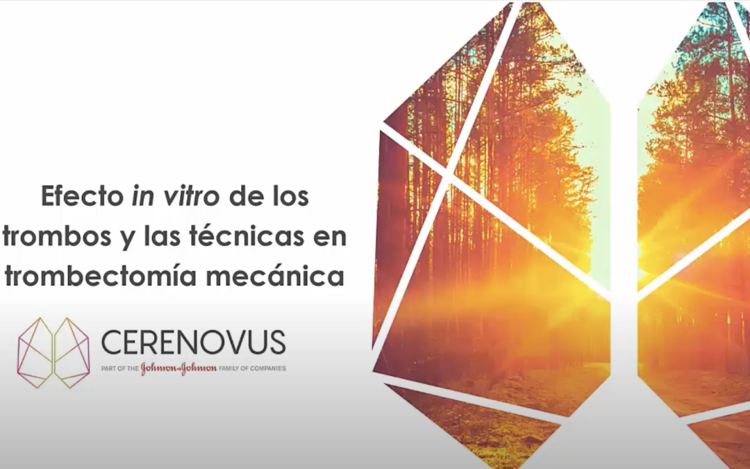 Efecto in vitro de los trombos y las técnicas en trombectomía mecánica