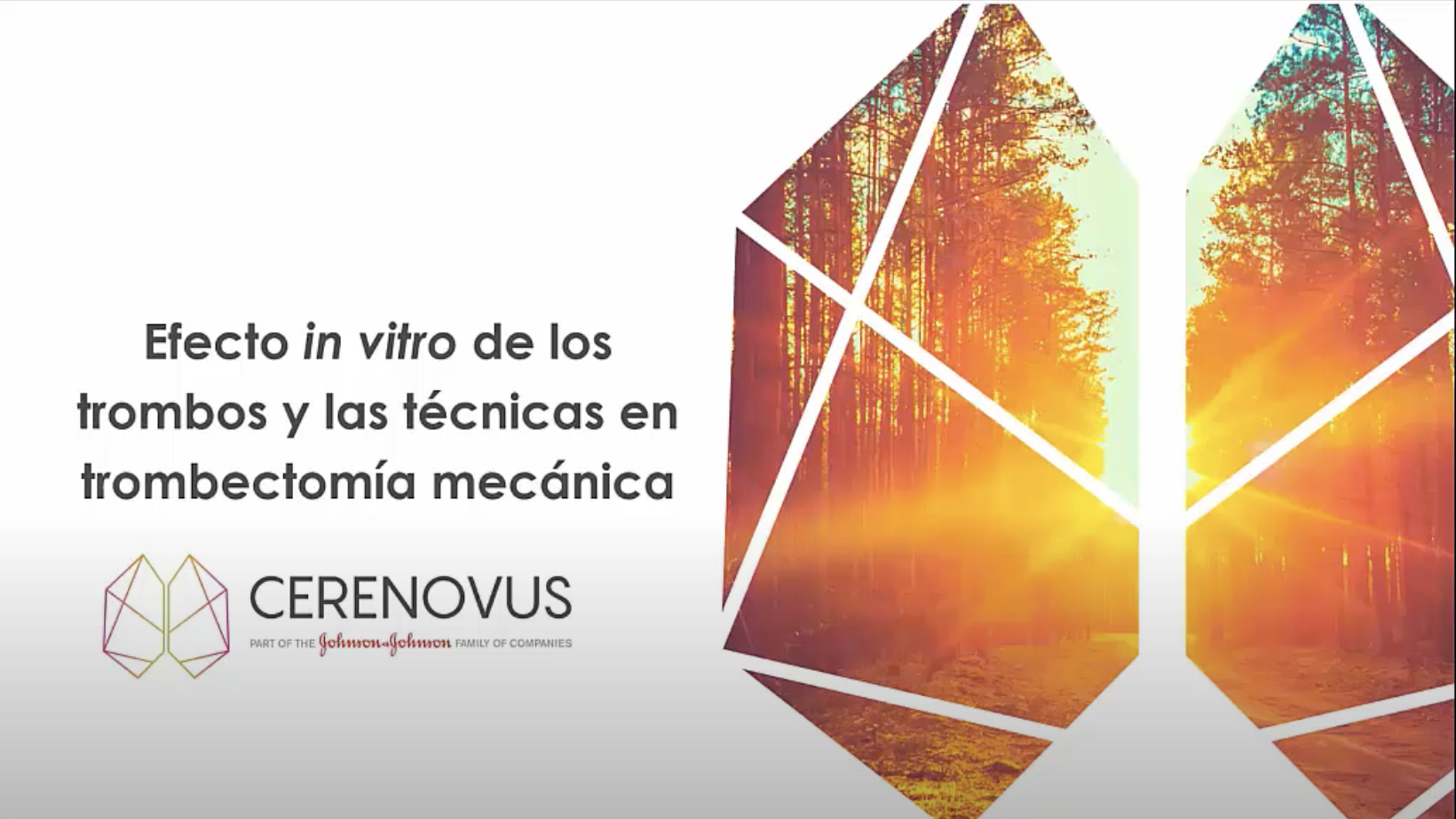 Efecto in vitro de los trombos y las técnicas en trombectomía mecánica