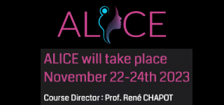 6 becas completas para el curso Alice 2023