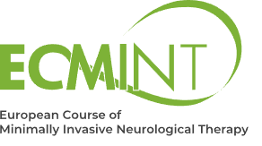 The European Course in Minimally Invasive Neurological Therapy (ECMINT) 6.1